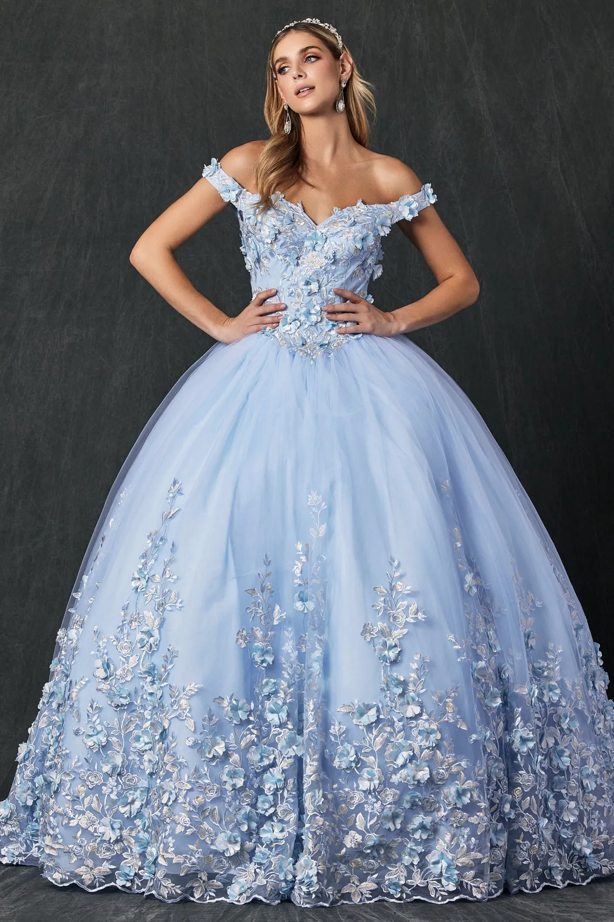 Floral Lace Illusion Sweetheart Ball Gown | Long Off-Shoulder Evening Dress with Cap Sleeves