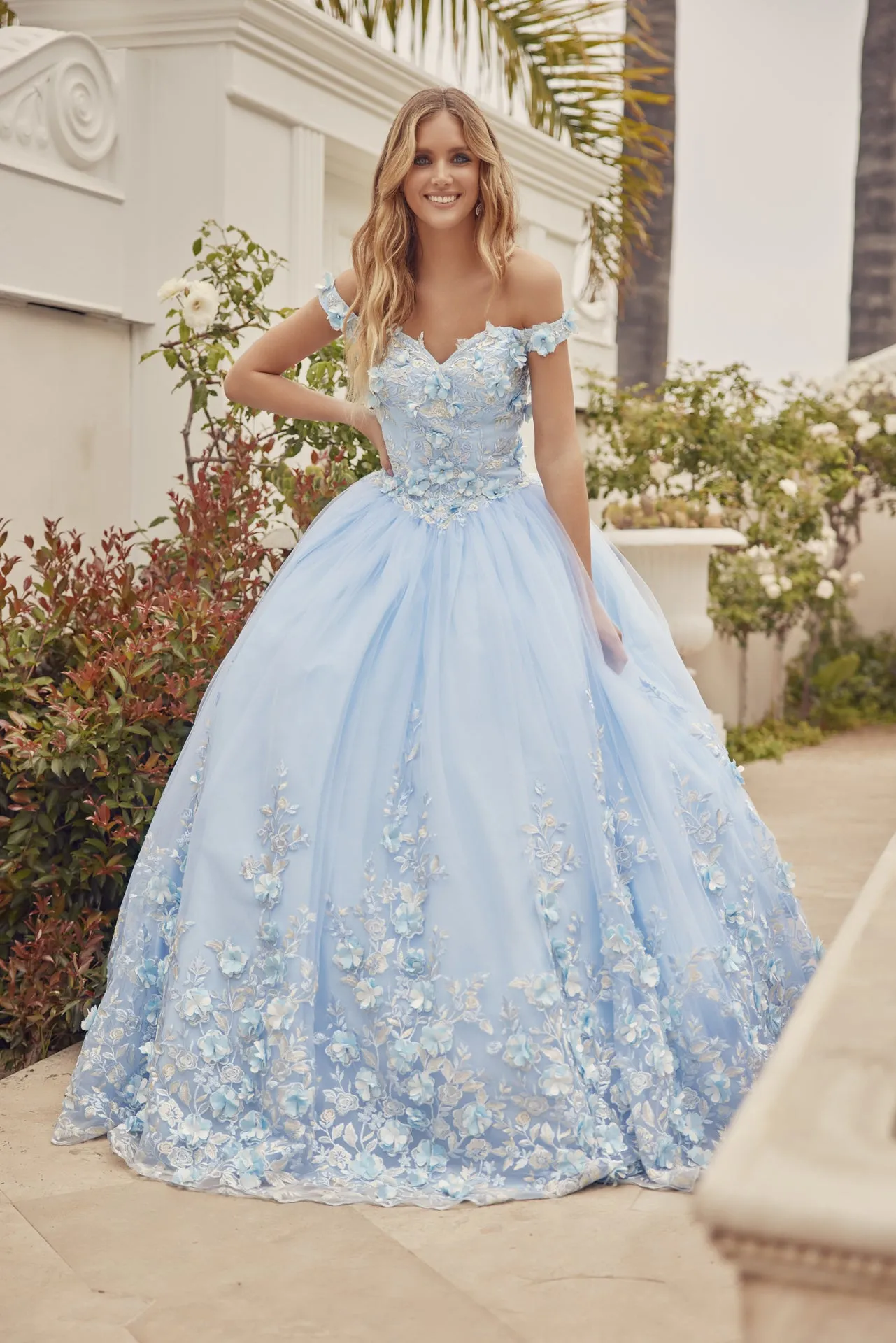 Floral Lace Illusion Sweetheart Ball Gown | Long Off-Shoulder Evening Dress with Cap Sleeves