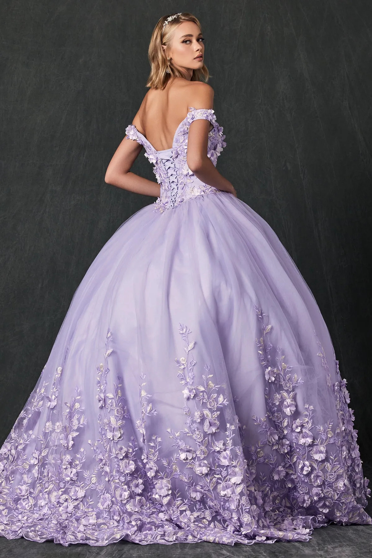 Floral Lace Illusion Sweetheart Ball Gown | Long Off-Shoulder Evening Dress with Cap Sleeves