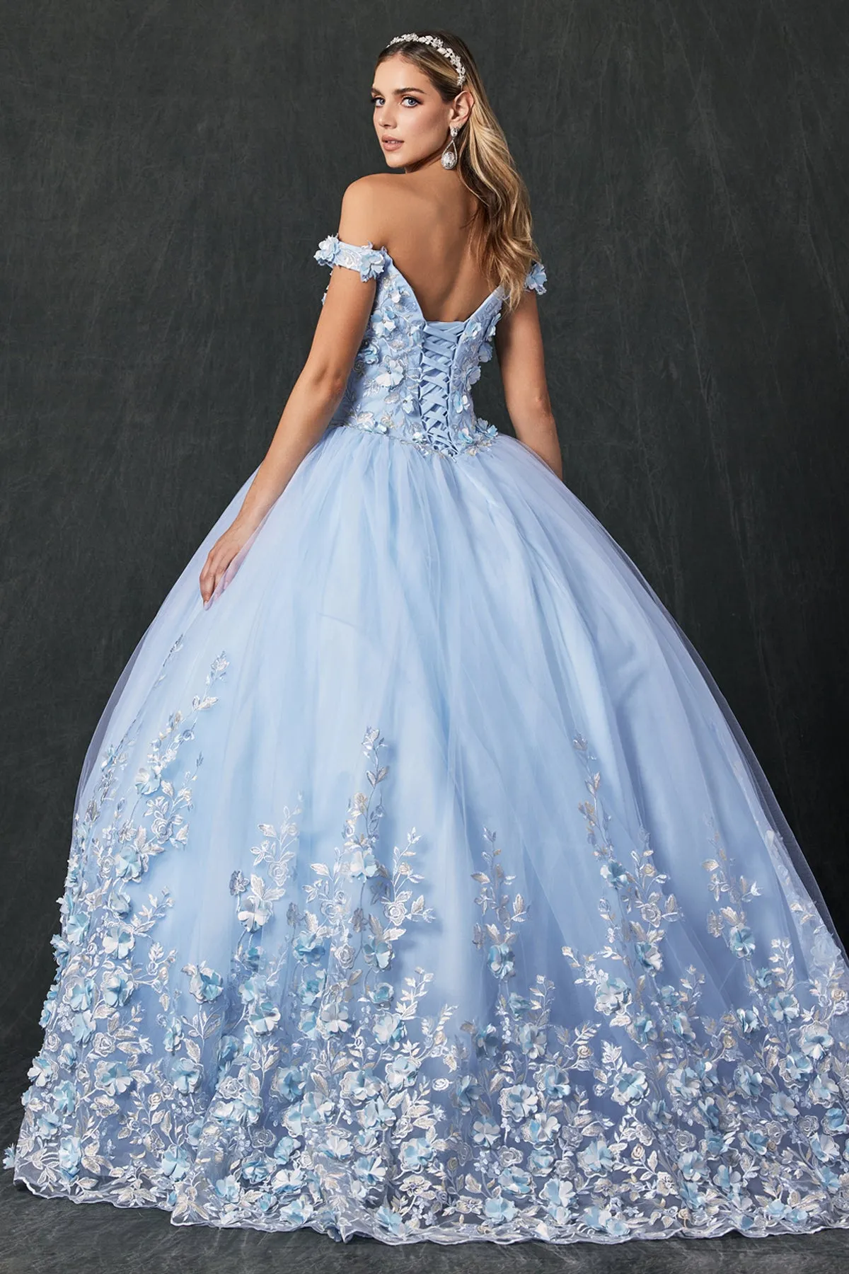 Floral Lace Illusion Sweetheart Ball Gown | Long Off-Shoulder Evening Dress with Cap Sleeves