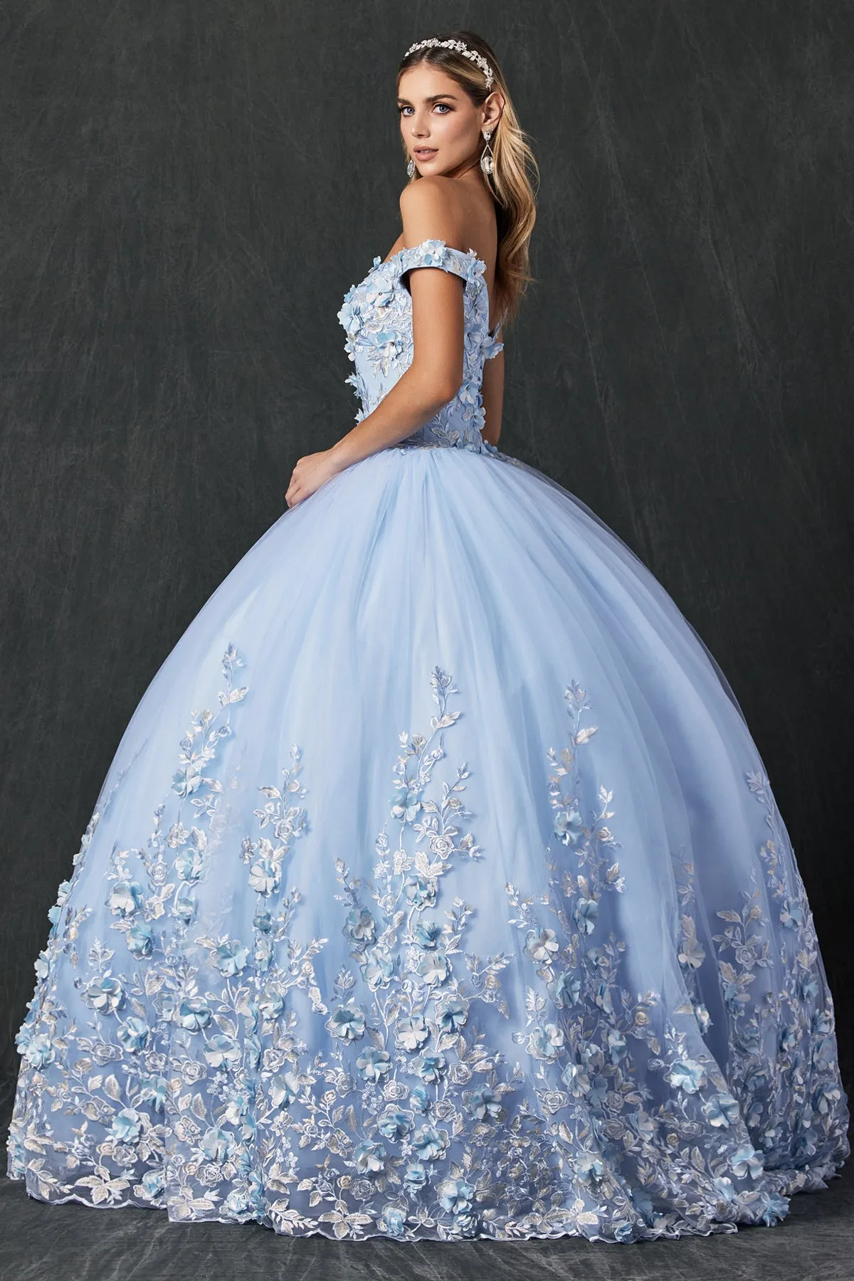 Floral Lace Illusion Sweetheart Ball Gown | Long Off-Shoulder Evening Dress with Cap Sleeves