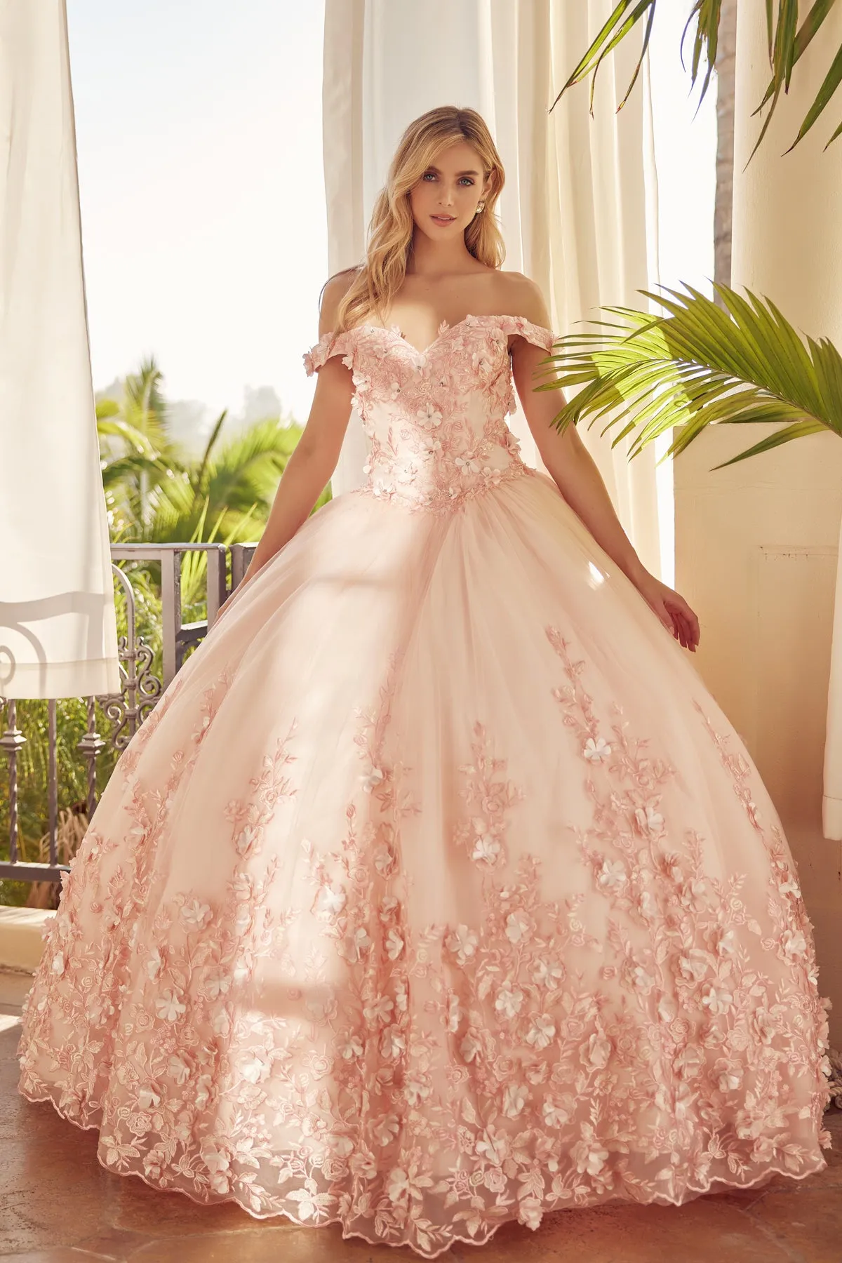 Floral Lace Illusion Sweetheart Ball Gown | Long Off-Shoulder Evening Dress with Cap Sleeves